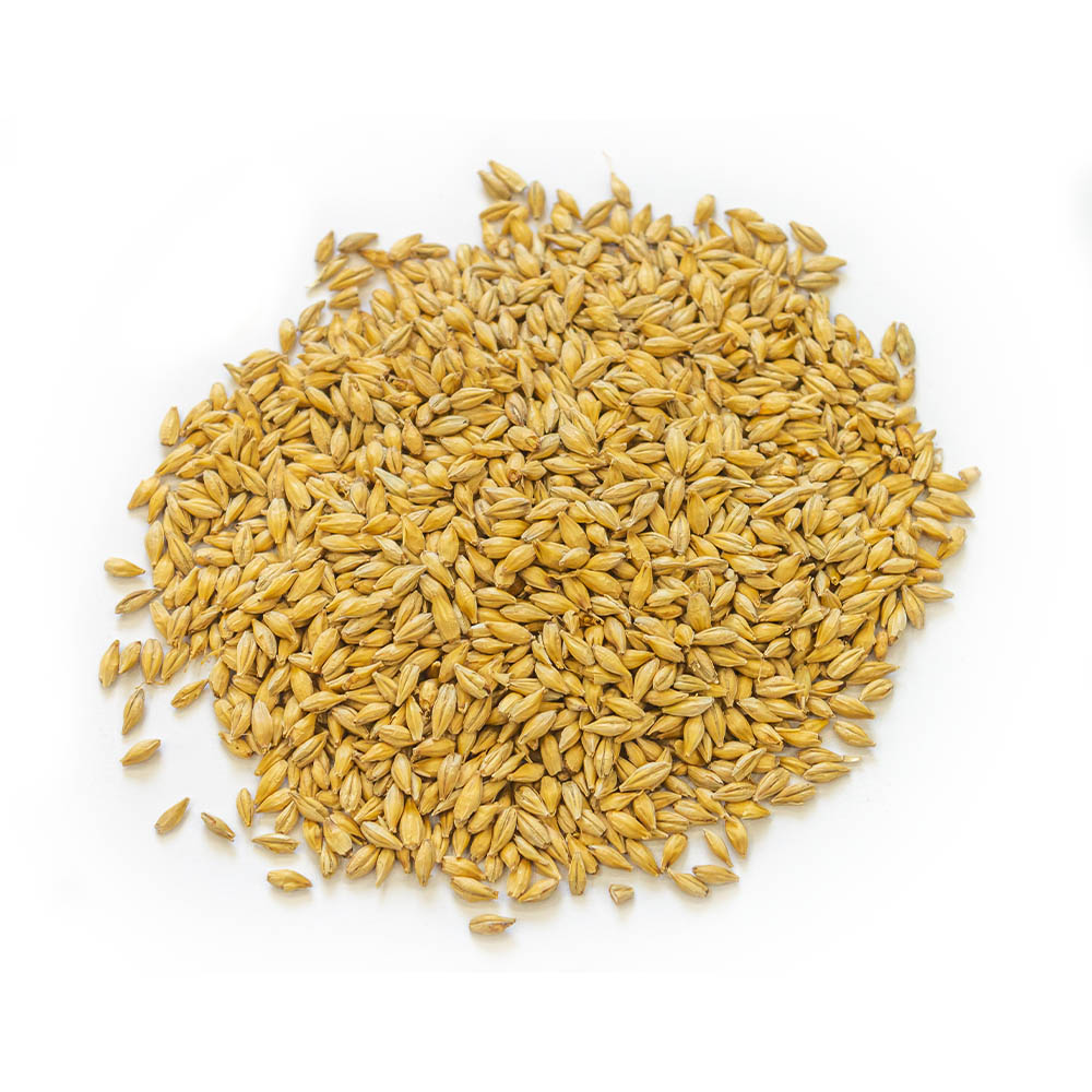 Солод Староминский ячменный Пилзнер, 1кг